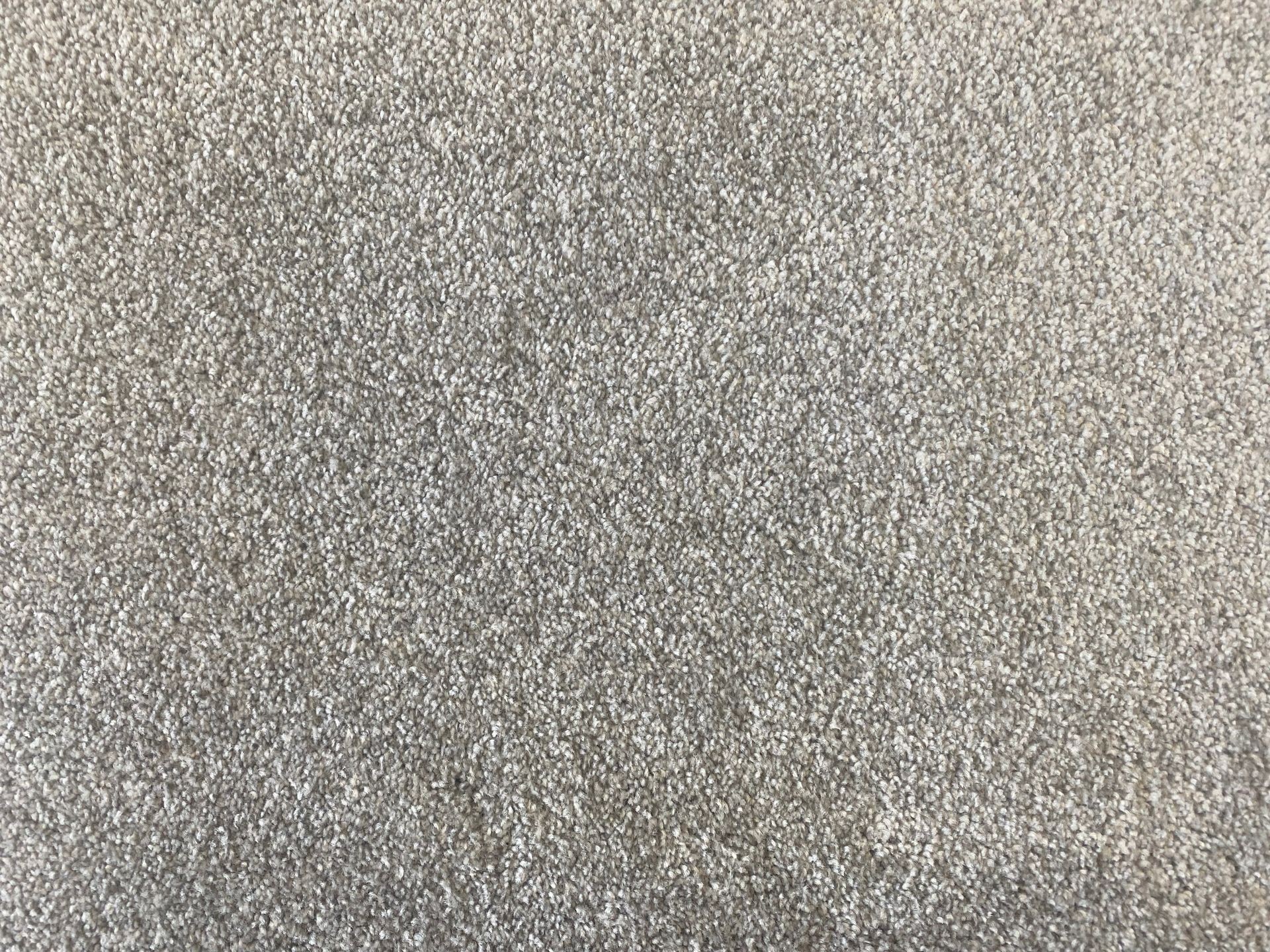 Carpet Flooring